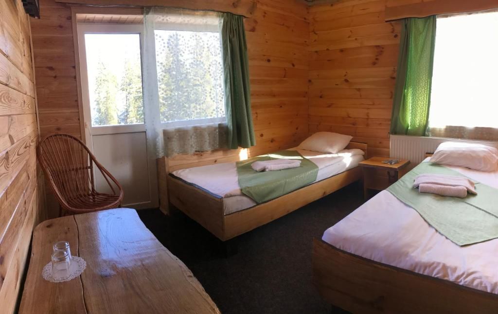 Отель Alpin Eco Chalet & Wellness Драгобрат