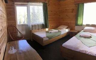 Отель Alpin Eco Chalet & Wellness Драгобрат Двухместный номер с 1 кроватью или 2 отдельными кроватями и балконом-7