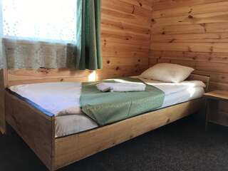 Отель Alpin Eco Chalet & Wellness Драгобрат Двухместный номер с 1 кроватью или 2 отдельными кроватями и балконом-20