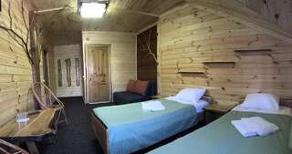 Отель Alpin Eco Chalet & Wellness Драгобрат Двухместный номер с 1 кроватью или 2 отдельными кроватями и балконом-1